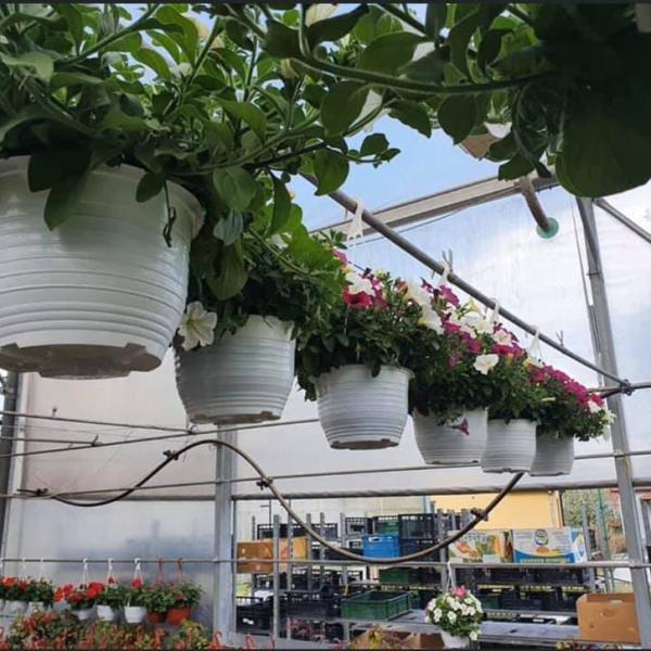 Kod naših mušterija 2