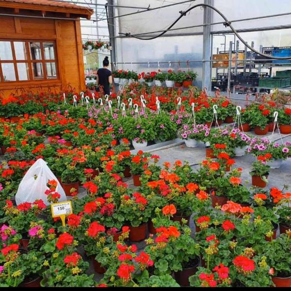 Kod naših mušterija 3