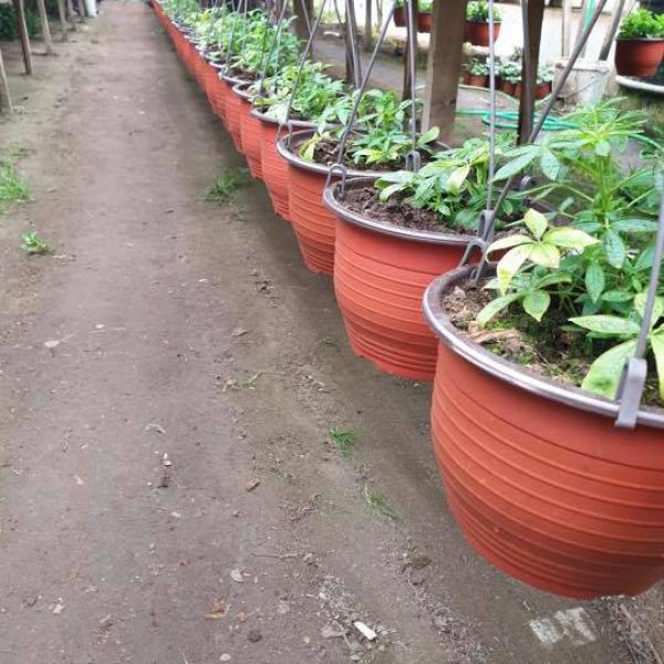 Kod naših mušterija 5