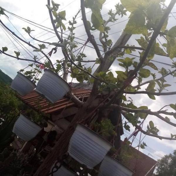 Kod naših mušterija 6